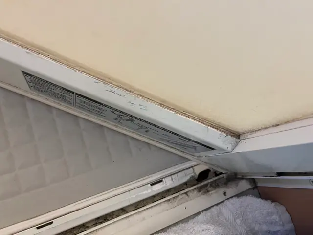 超お得☆【地域最安値挑戦中！】☆口コミにて過去のお声ご覧になれます！サービスの画像