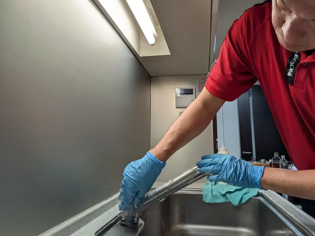 キッチンの頑固な油汚れ、シンクの水垢汚れ　KIREIに致します！サービスの画像