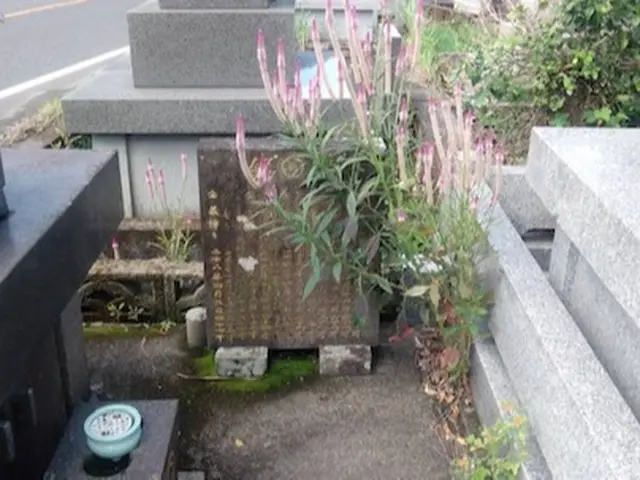 ご家族に代わり心を込めてお参り、清掃致します。サービスの画像