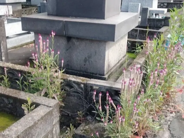 ご家族に代わり心を込めてお参り、清掃致します。サービスの画像