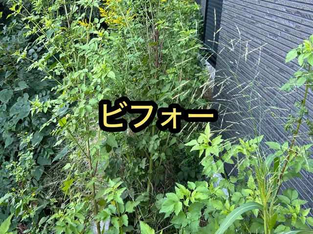 マンション周りやお庭まで！なんでもお任せください！サービスの画像