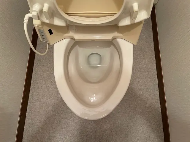 ブラシで落ちない水垢や、尿石などお任せください！ご相談大歓迎★フッ素コート無料中サービスの画像