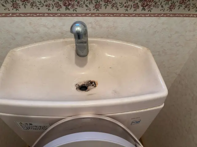 ブラシで落ちない水垢や、尿石などお任せください！ご相談大歓迎★フッ素コート無料中サービスの画像