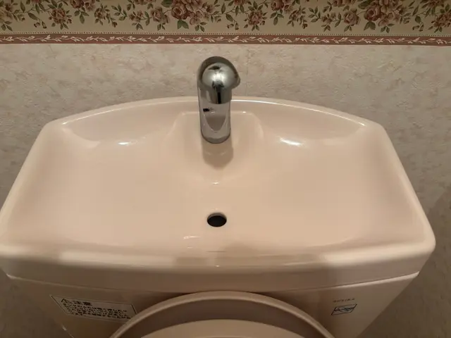 ブラシで落ちない水垢や、尿石などお任せください！ご相談大歓迎★フッ素コート無料中サービスの画像