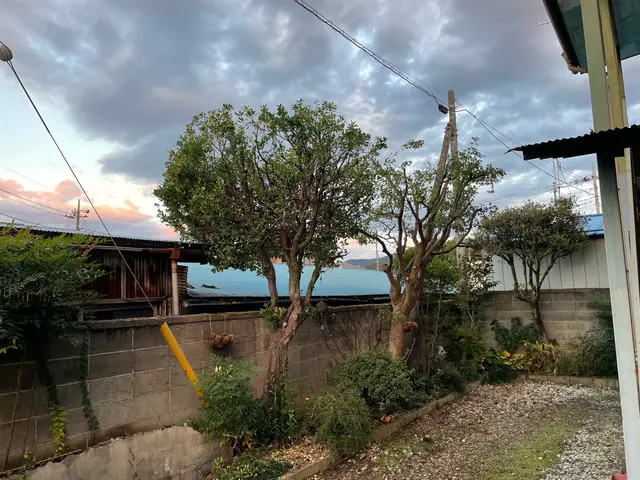 【年間100件以上の実績】庭木にお困りの皆様にプロの技術で「安心」を届けます。サービスの画像