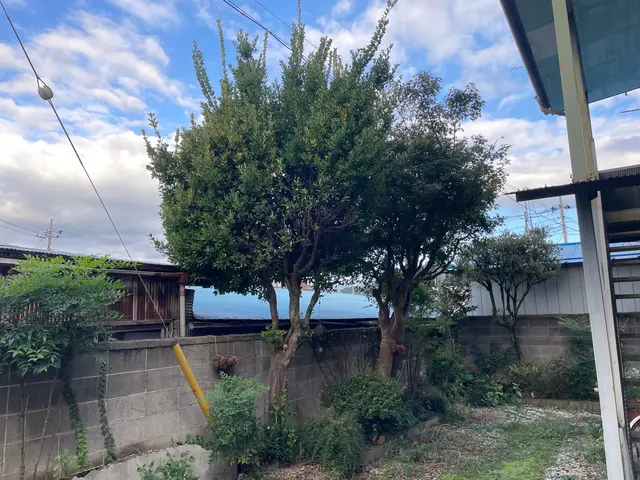 【年間100件以上の実績】庭木にお困りの皆様にプロの技術で「安心」を届けます。サービスの画像