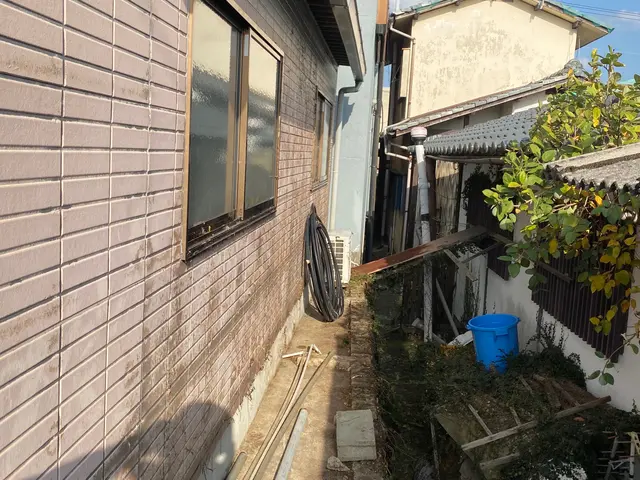 ツタ、ツル除去サービスの画像