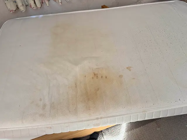 【両面クリーニングオプションサービス】女性スタッフ派遣可能！サービスの画像