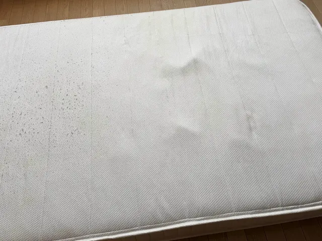 【両面クリーニングオプションサービス】女性スタッフ派遣可能！サービスの画像