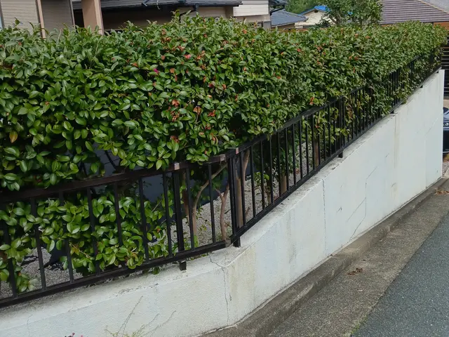 生垣、植え込みの格安剪定！庭木も対応！サービスの画像