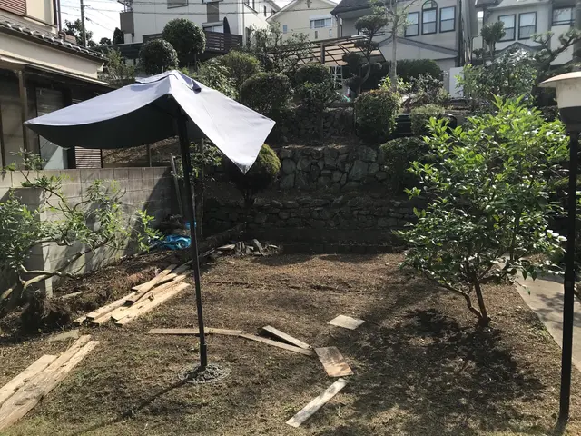 小さな木、大きな木、何でもお任せください！サービスの画像