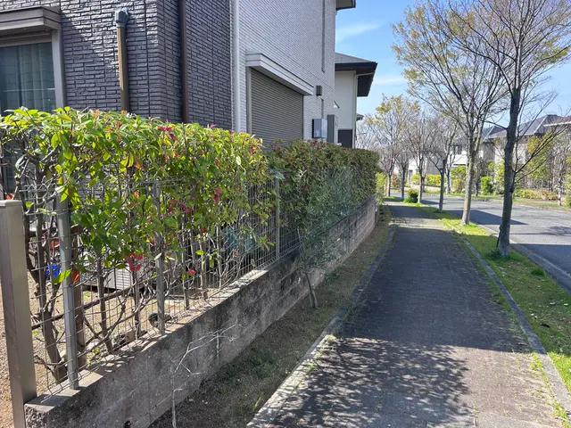 小さな木、大きな木、何でもお任せください！サービスの画像