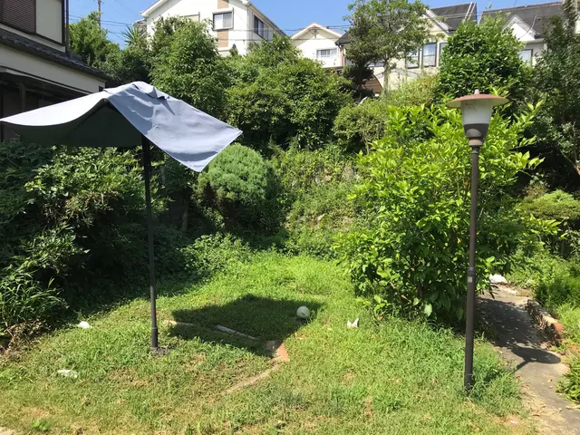 小さな木、大きな木、何でもお任せください！サービスの画像