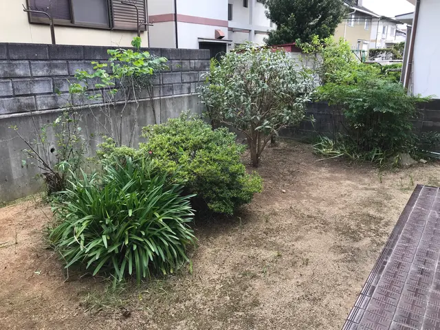 小さな木、大きな木、何でもお任せください！サービスの画像