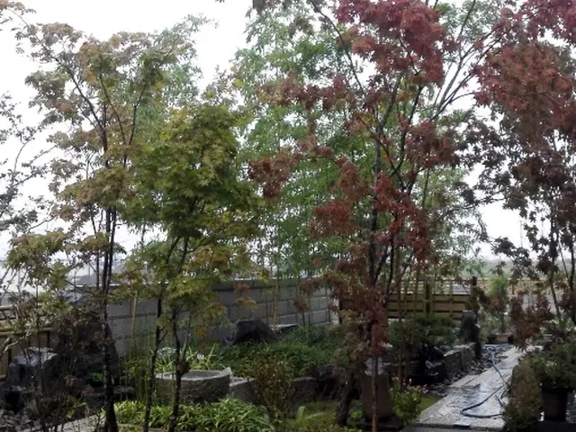 【職人歴24年の実績】予約から施工まで自社対応・アフターフォローも万全サービスの画像