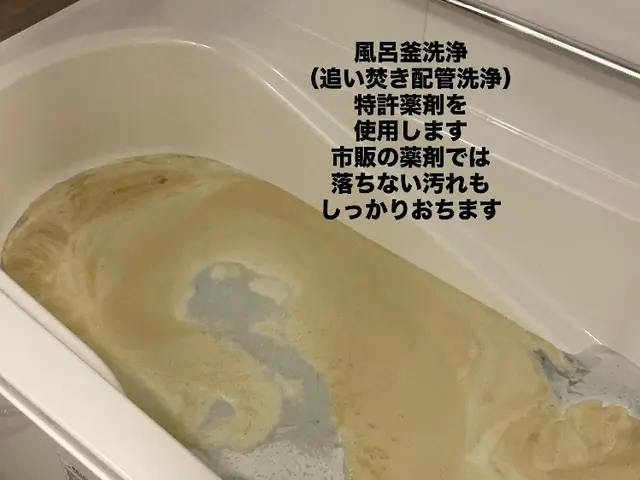 低料金！浴室クリーニング！なかなか予約のとれない店舗です！口コミも高評価！サービスの画像