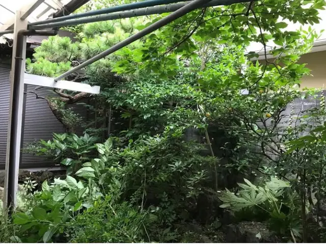 庭木剪定植木サービスの画像