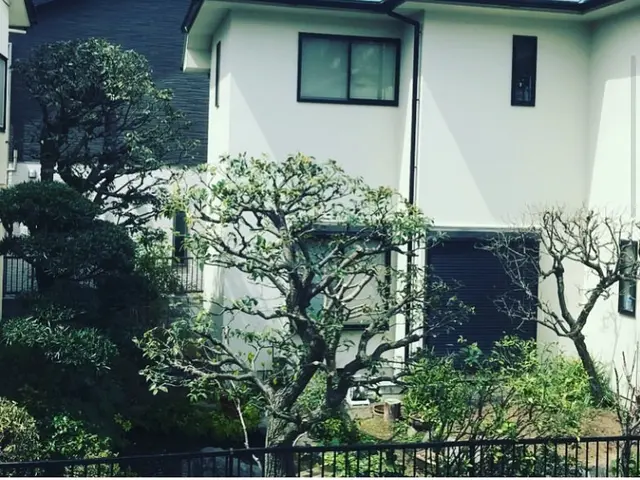 庭木剪定植木サービスの画像