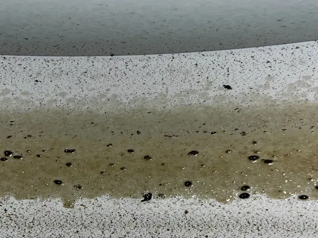 【年末大掃除キャンペーン】12/31まで！サービスの画像