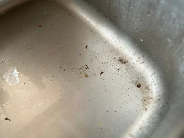 気になる油汚れ、水回り！お得なセット割り！サービスの画像