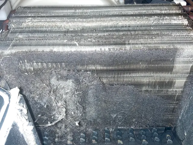 【業界歴5年以上の実績！】丁寧で安心のドラム式分解清掃サービス！PayPay可サービスの画像