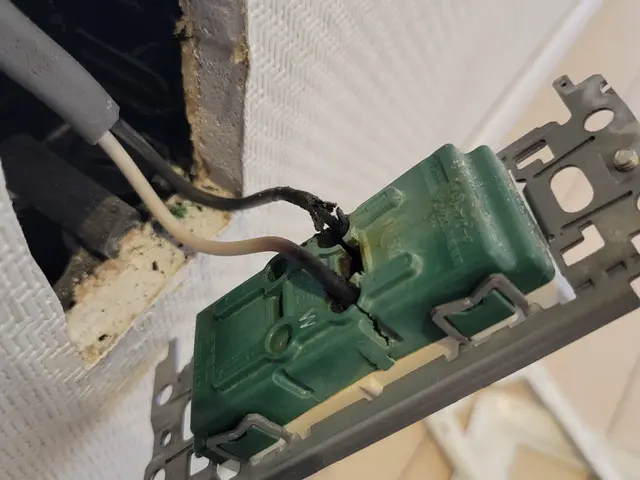 【新春キャンペーン】★お急ぎ下さい★☆柔軟に対応致します☆サービスの画像