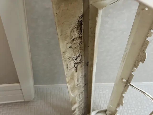 プロによるカビ・汚れ徹底除去！電気代節約にも！快適な空間へエアコンクリーニング！サービスの画像