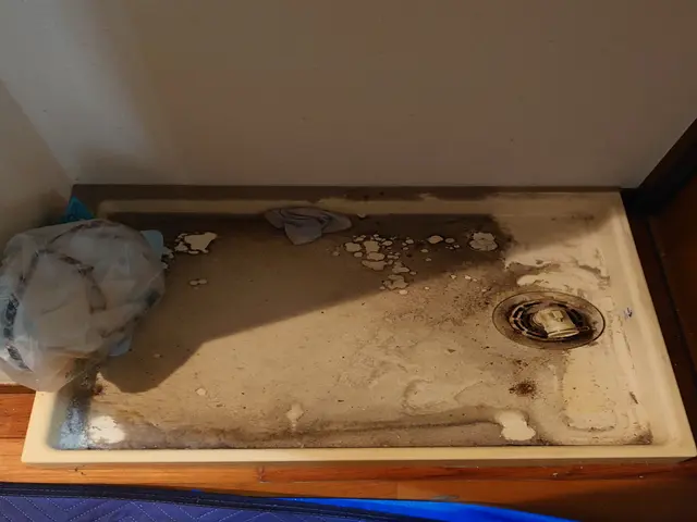 【長年のスキル！】損害保険加入済み◎驚きのクオリティーで汚れを一掃します！サービスの画像