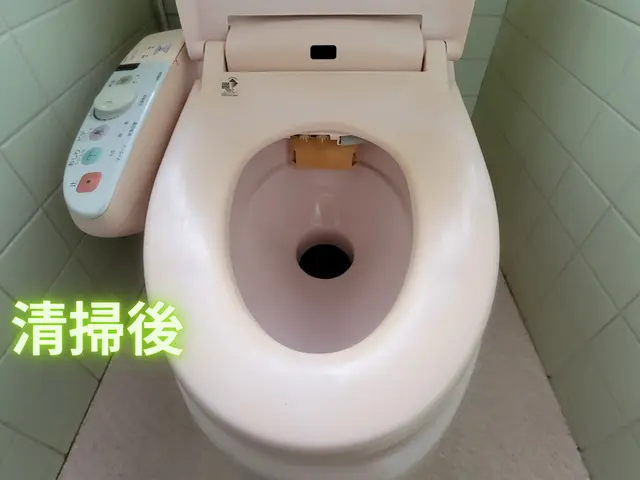 【岡山市東区発！】性格が汚れてますので(笑)トイレの汚れなんてへっちゃらです♫サービスの画像