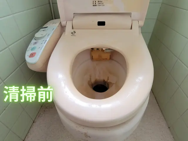 【岡山市東区発！】性格が汚れてますので(笑)トイレの汚れなんてへっちゃらです♫サービスの画像