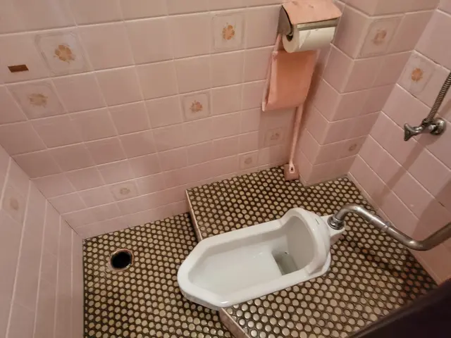 【岡山市東区発！】性格が汚れてますので(笑)トイレの汚れなんてへっちゃらです♫サービスの画像