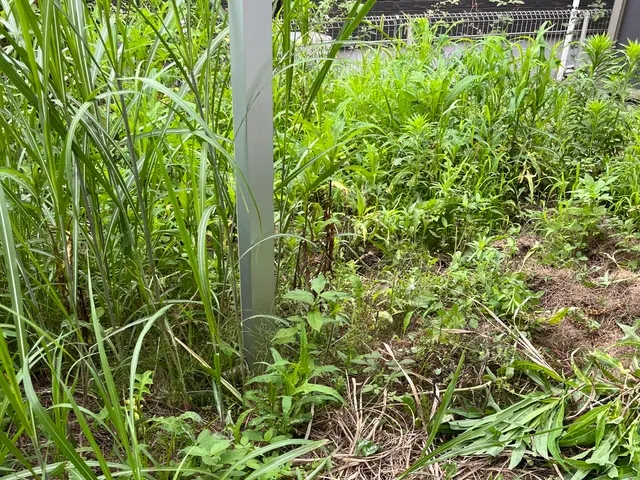 外注一切無し！雑草や虫とサヨナラ！ローメンテで快適なお庭に！！サービスの画像