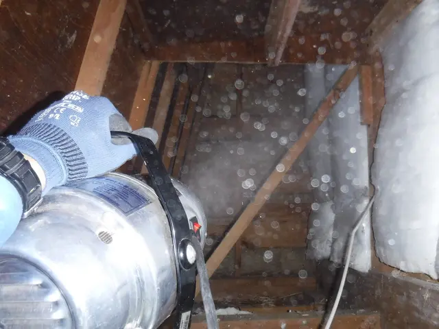 【神奈川・東京】◎ 専門知識を持ったスタッフが害虫害獣のトラブルを解決します！サービスの画像