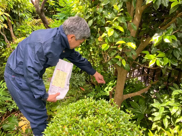 【口コミ賞受賞】◆毛虫駆除◆ 緊急対応に備えてスタッフが常駐しております！サービスの画像