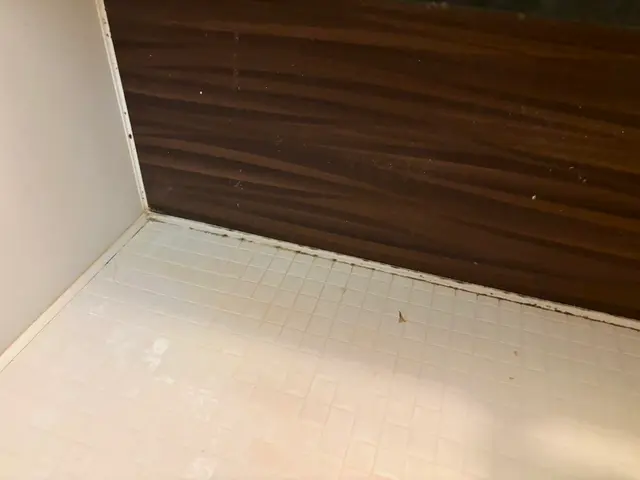 令和7年10月出店◎丁寧に心を込めて作業致します！【宮城県内要相談】サービスの画像