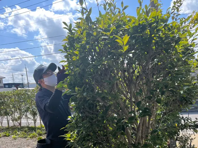 【年中無休で営業中】豊富な経験と知識で安心！ぜひお気軽にご相談ください♪サービスの画像