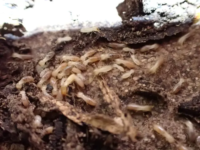 駐車場代お店負担！作業外注一切なし◎経験年数23年！豊富な経験と知識で安心♪サービスの画像