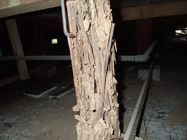 駐車場代お店負担！作業外注一切なし◎経験年数23年！豊富な経験と知識で安心♪サービスの画像