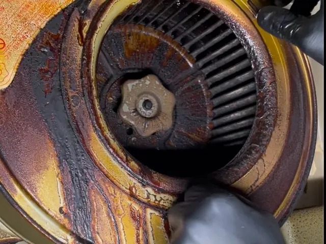 【口コミ★5継続中】完全分解し中までクリーンに！害虫対策に必須！サービスの画像