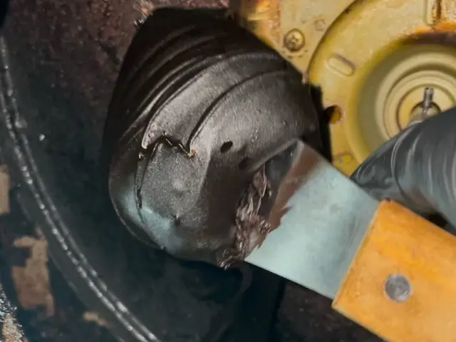 【口コミ★5継続中】完全分解し中までクリーンに！害虫対策に必須！サービスの画像