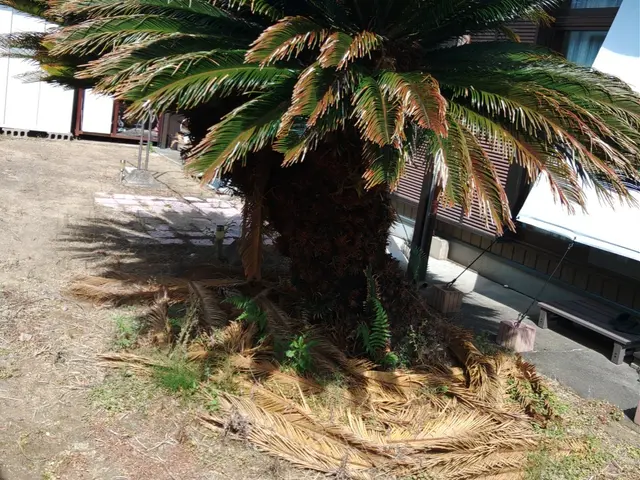 お庭などに砂利をひいて防犯、防草で庭園のようなお庭を土日okサービスの画像
