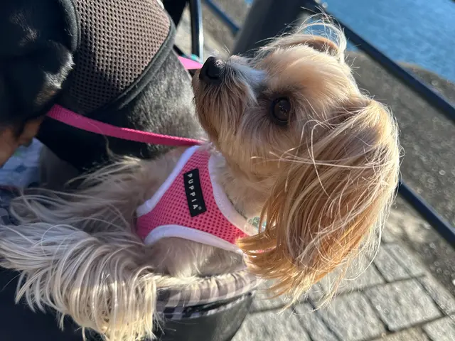 ｟特別価格実施中！｠★最安値でも安心・信頼していただけるサービスを提供します★サービスの画像