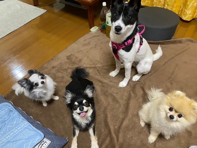 ｟特別価格実施中！｠★最安値でも安心・信頼していただけるサービスを提供します★サービスの画像