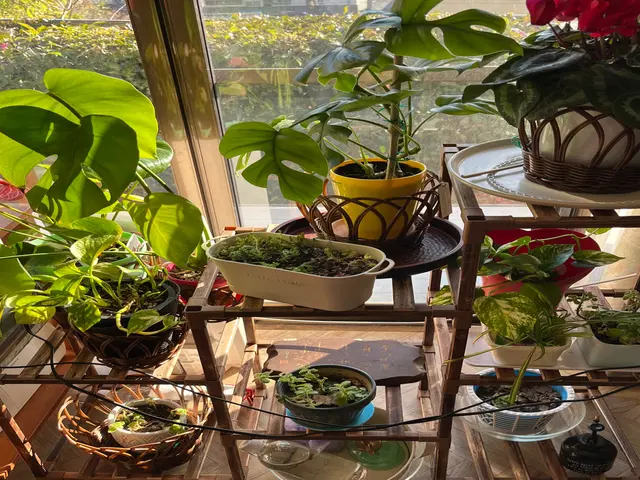 整理収納・お片付けサービスの画像