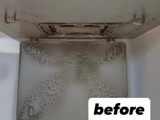 大手経験者による丁寧施工で臭いもスッキリ解決サービスの画像