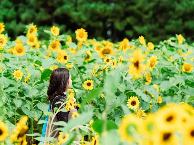 国内大手広告代理店の現役クリエイターが写真を撮影します！サービスの画像