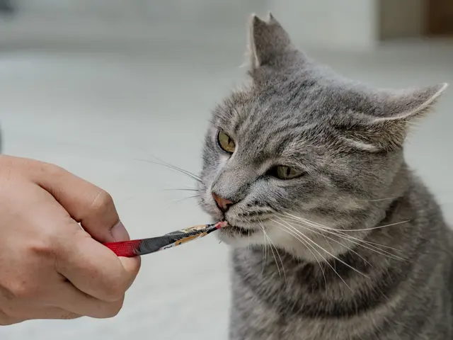 国内大手広告代理店の現役クリエイターが写真を撮影します！サービスの画像