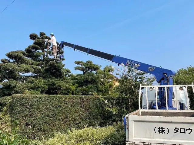 自然風な剪定、庭づくりをモットーに取り組んでいます！サービスの画像