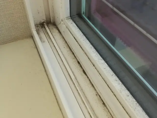 【船橋周辺のお掃除】２０２６年１月のご予約承り中です！サービスの画像