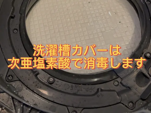 ★カビをごっそり取ってピカピカに！糸くずで詰まった乾燥ダクト清掃で乾燥機能復活★サービスの画像